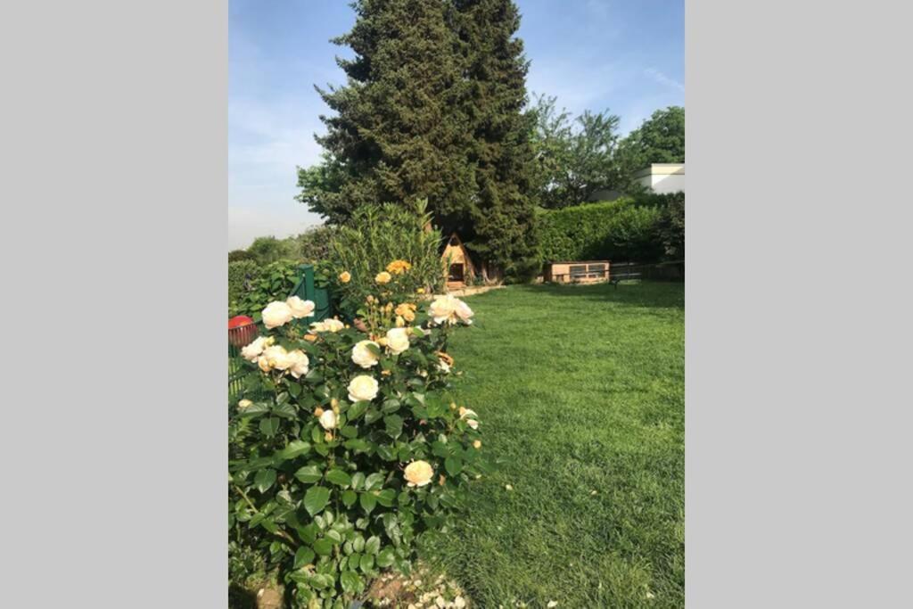 Appartement Region Esslingen - Nähe Messe - Flughafen - Stuttgart - Wohnen und Arbeiten auf Zeit in 120m2 Wohlfühlatmosphäre - ab 3 Übernachtungen - geeignet für 4 Personen - Beistellbett möglich - Kinder und Tiere willkommen - Garage für e-bikes Altbach Exterior foto